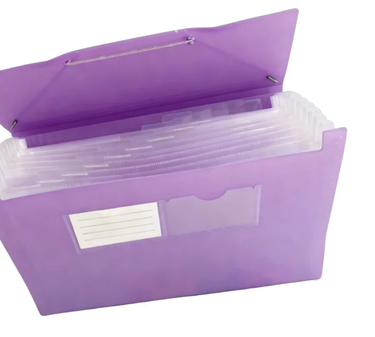 Carpeta clasificadora A4